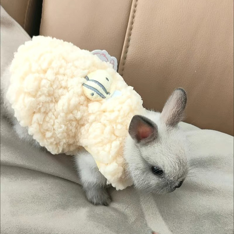 Winter Clothing Newborn - Winter Warmer Hasen-Pullover für Kleintiere Chinchillas