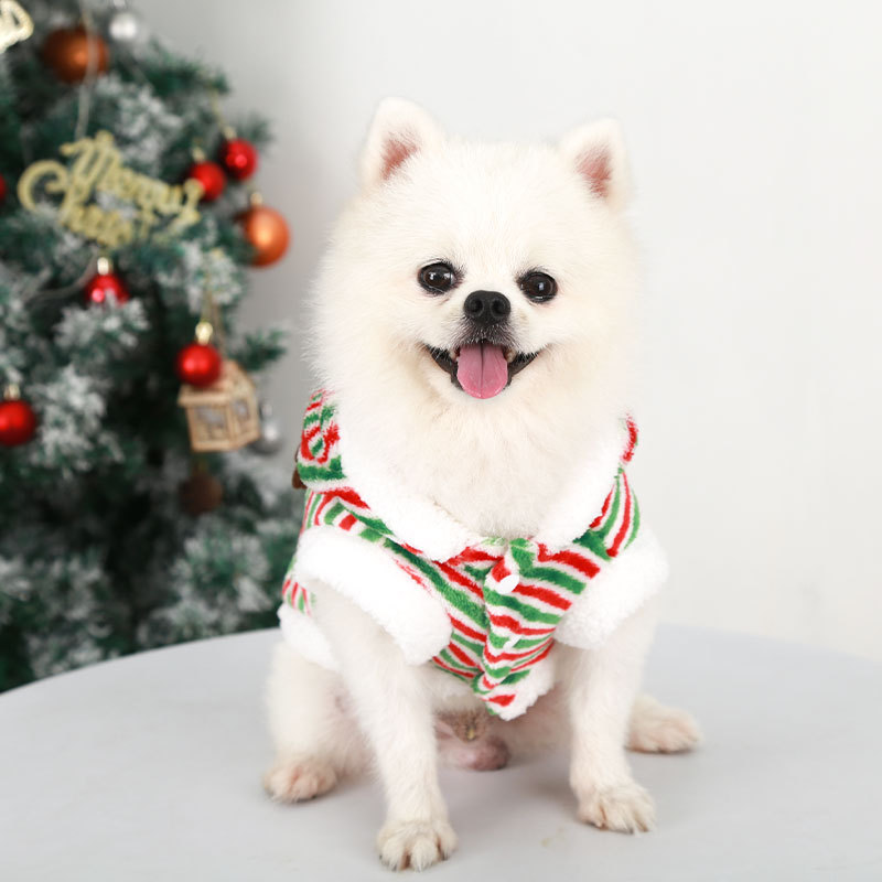 Frohe Weihnachten Haustier Kle – Winter Clothing Looks Bewertung und Preis